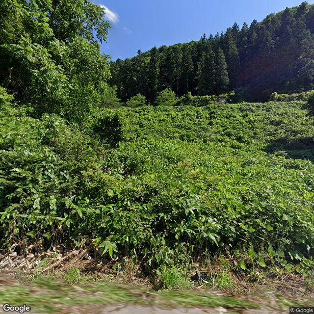 耶麻郡西会津町登世島字野口乙, 福島県
