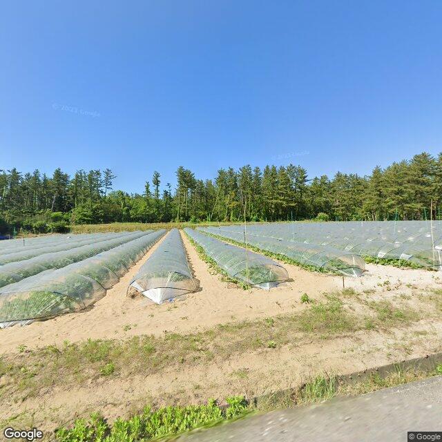 山形県遊佐町菅里
