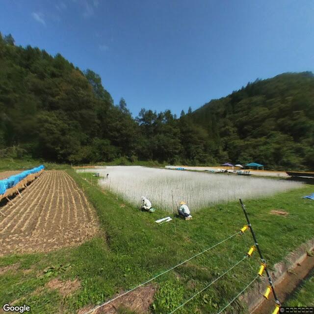 出没写真 1