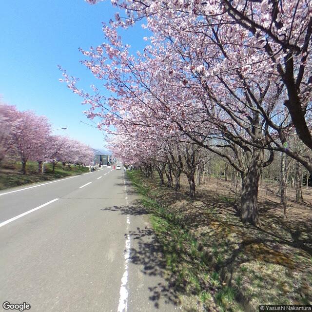 札幌市豊平区羊ケ丘森林総合研究所北海道支所, 北海道