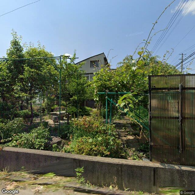 出没写真 1