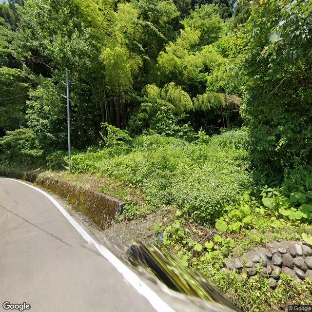 出没写真 1