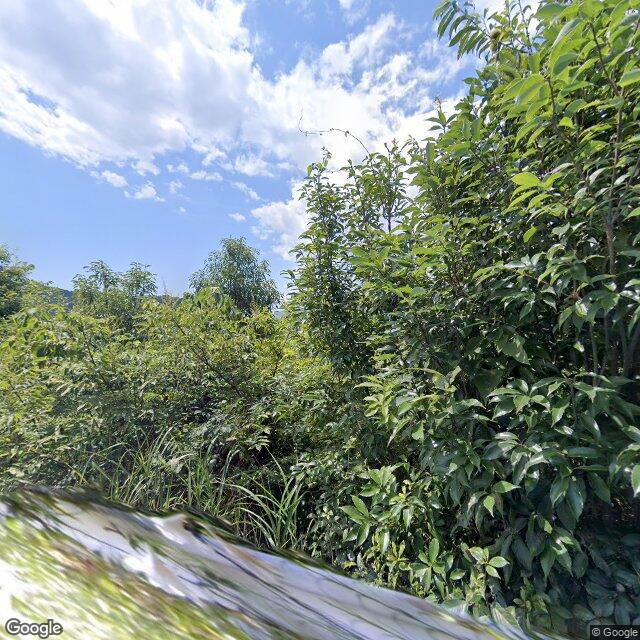 Ibigawa 桂, Gifu