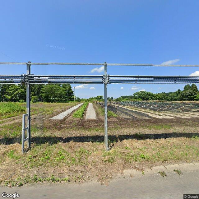 秋田県三種町鹿渡牡丹