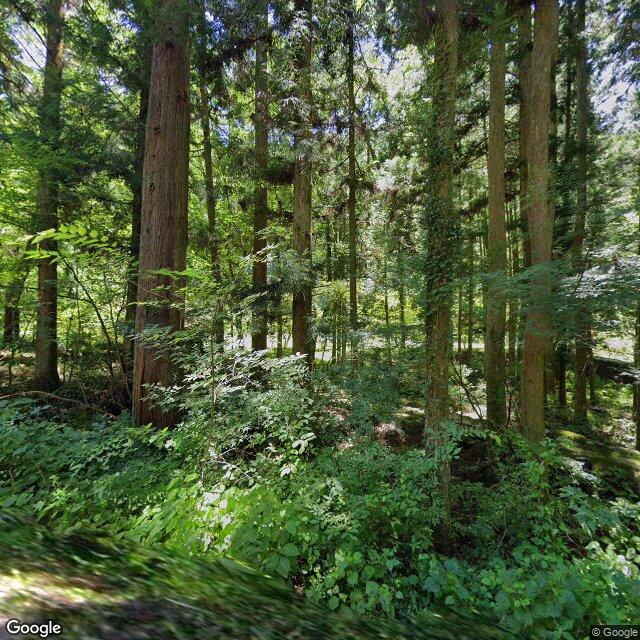 岐阜県中津川市 中津川
