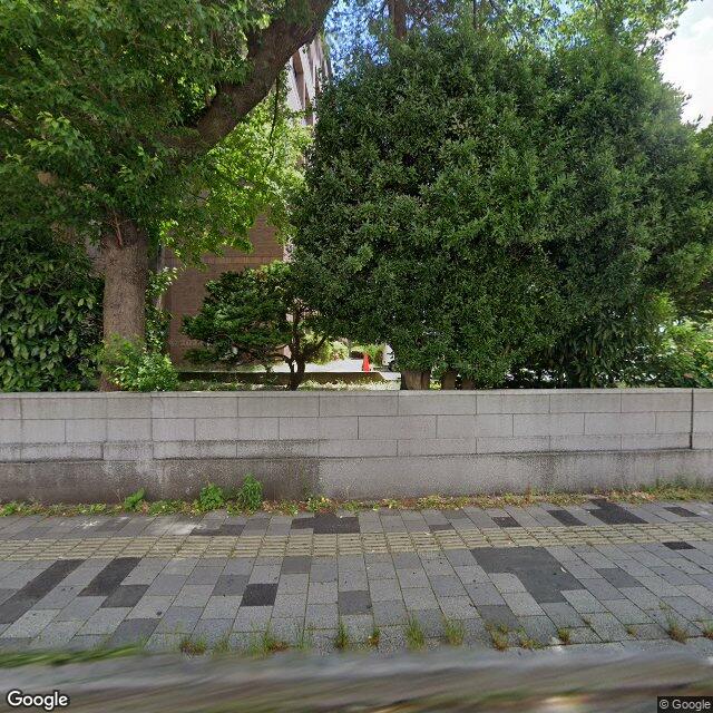 出没照片 1