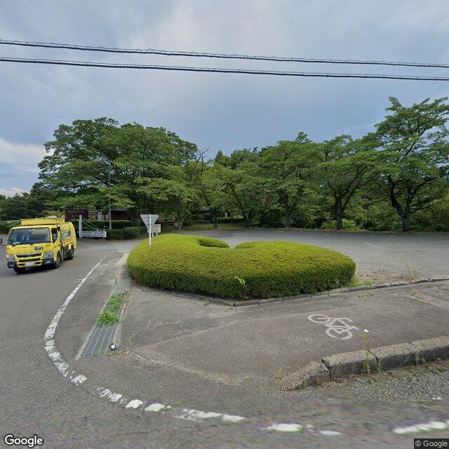 出没写真 1
