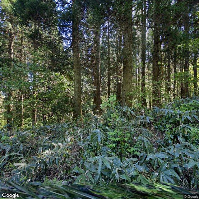 出没写真 1
