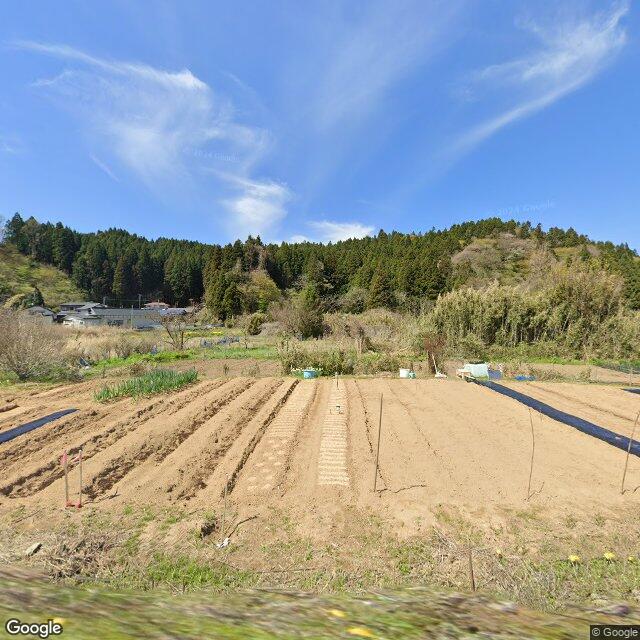 Akita, Akita
