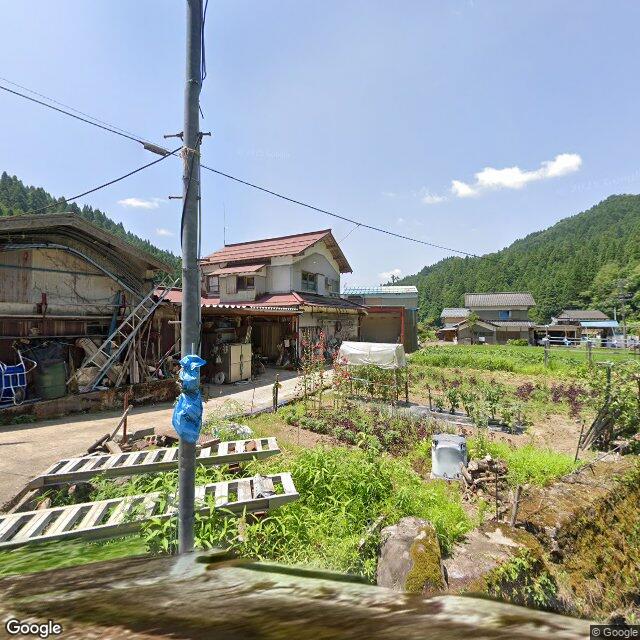出没写真 1
