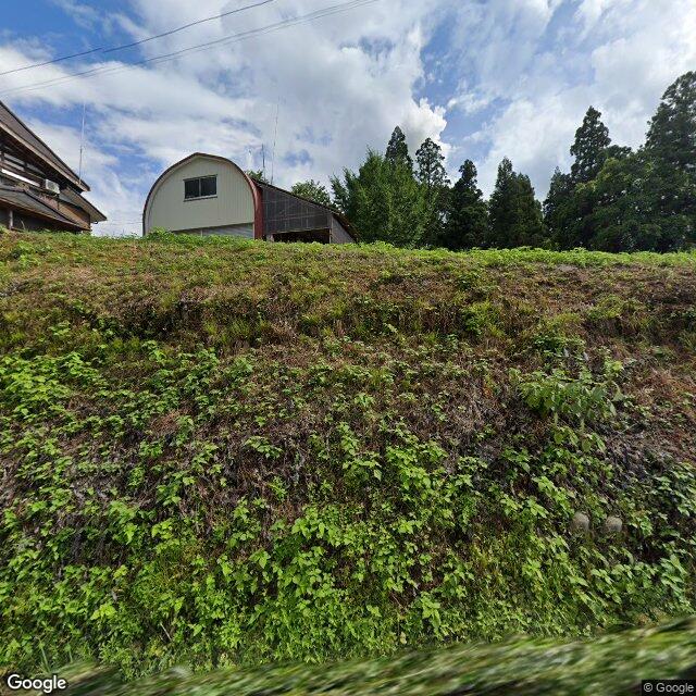 出没写真 1