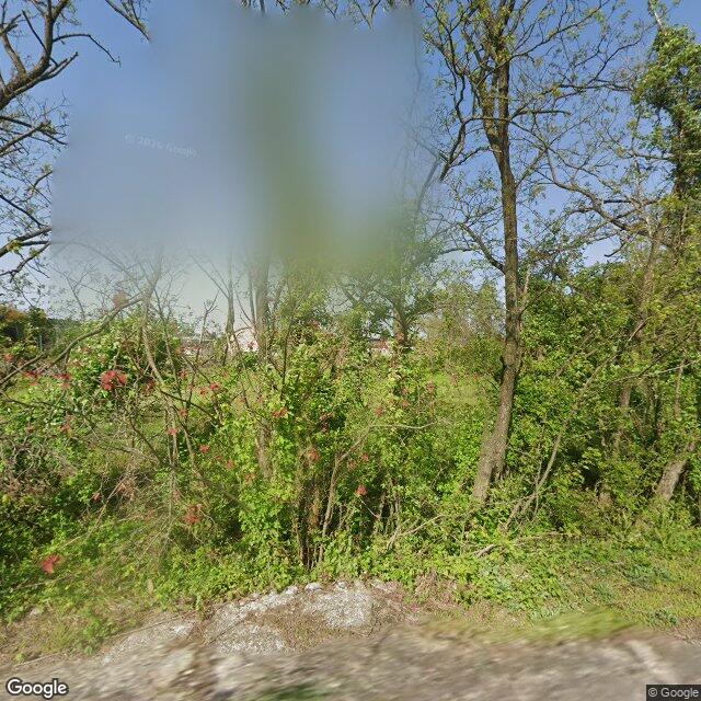 出没写真 1