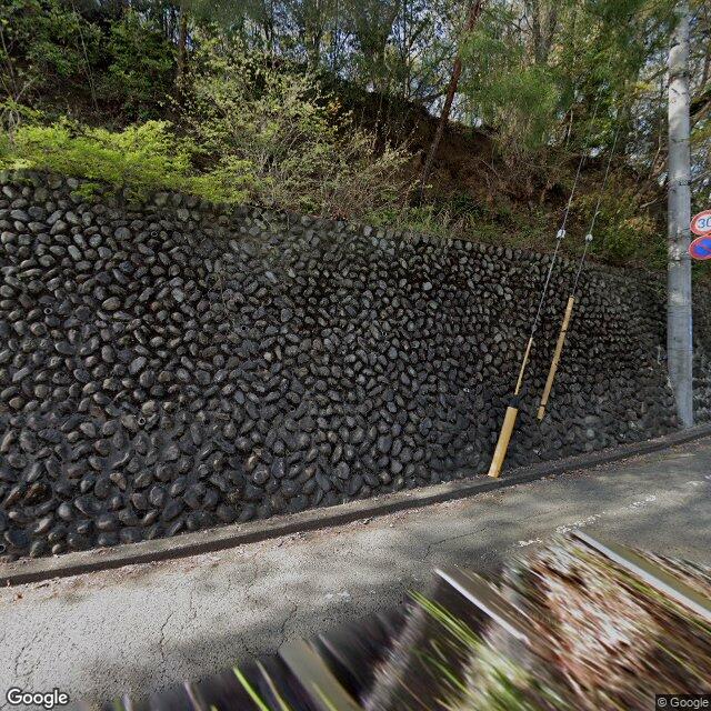 Ōme Katsunuma, Tokyo