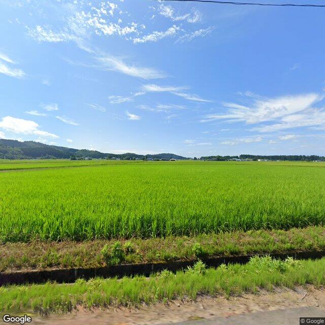 Misato 碇, Akita