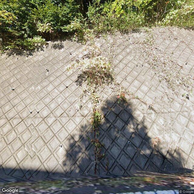 京都府京丹後市大宮町周枳