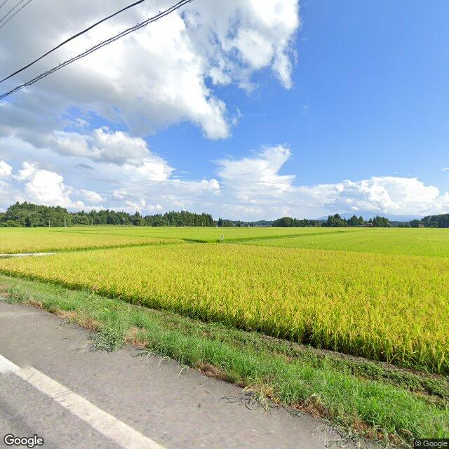 Shinjo Tobita, Yamagata