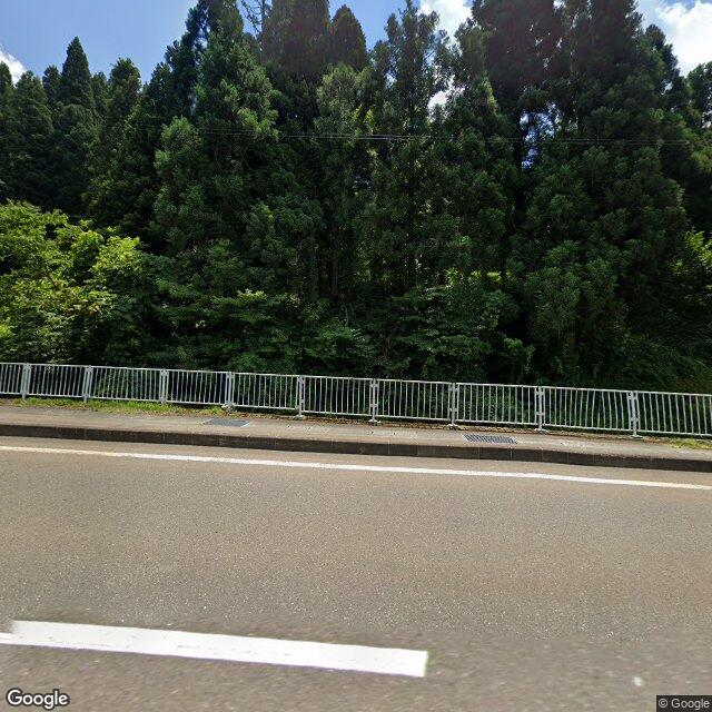 出没写真 1