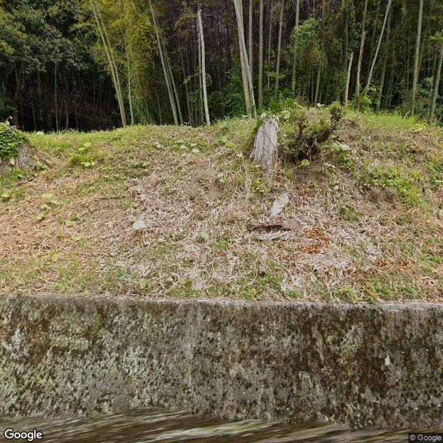 Ooi Fukutani, Fukui