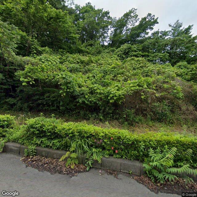 Fukushima Kuroiwa, Fukushima
