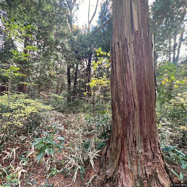 仙台市青葉区台原森林公園, 宮城県