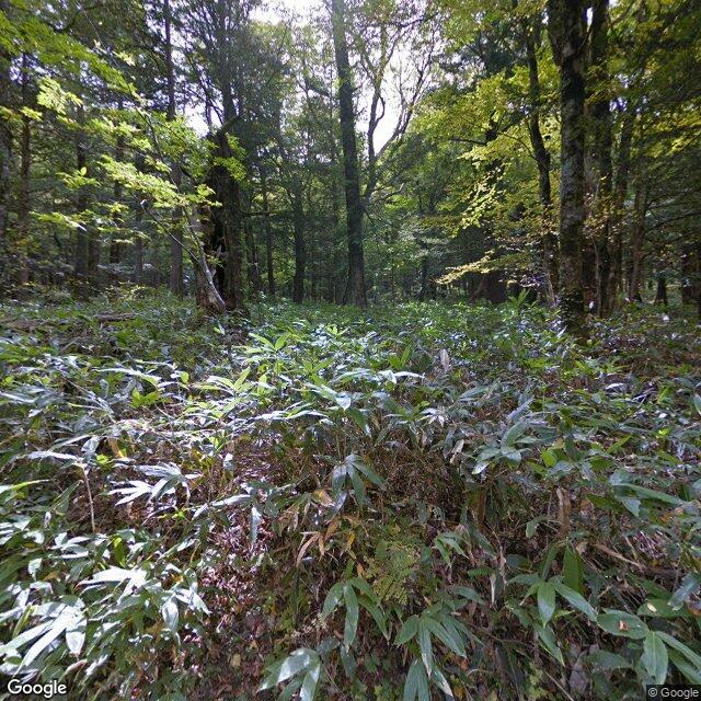 Matsumoto, Nagano