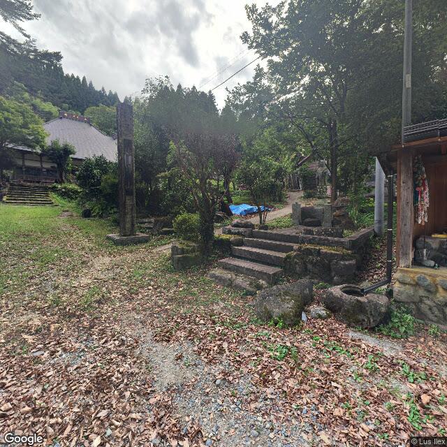 出沒照片 1