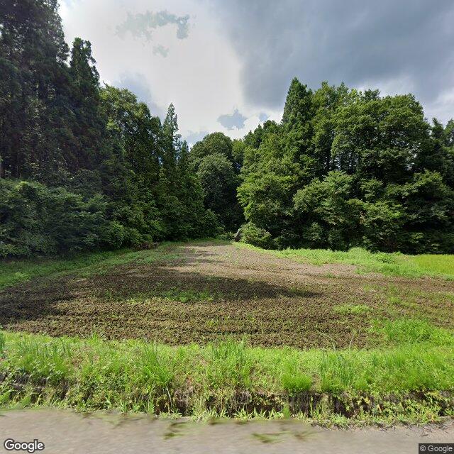 Tokamachi 松之山光間, Niigata