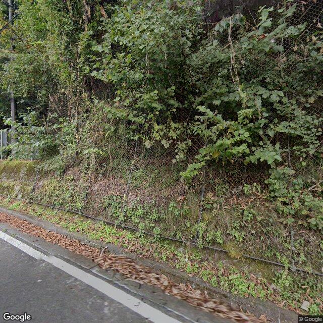 東京都奥多摩町川野872番地先