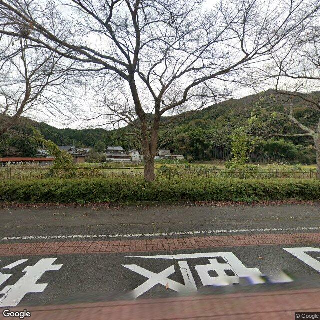 Maizuru Yoshino, Kyoto