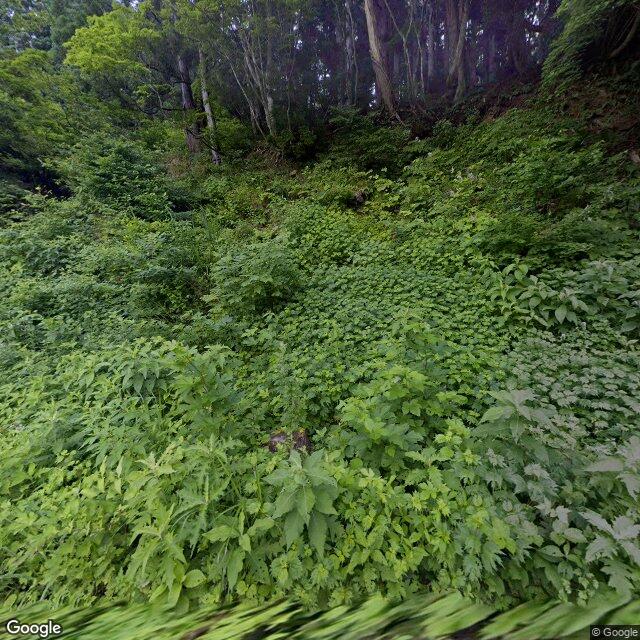 Yuzawa Tsuchidaru, Niigata