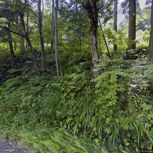 Ogawa 島, Nagano
