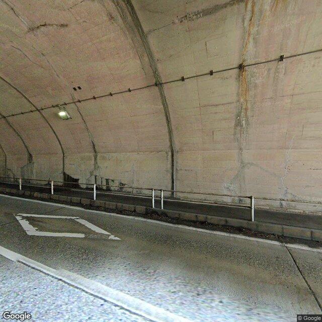 出没写真 1