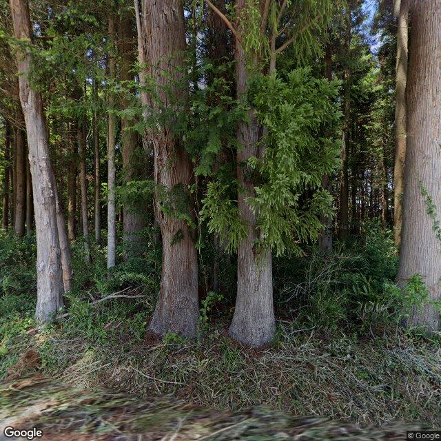 南相馬市小高区飯崎字北原, 福島県