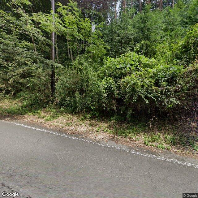 群馬県中之条町大字五反田地内 成田から吾妻中央高校農場へ向かう間の広域農道で子熊1頭
