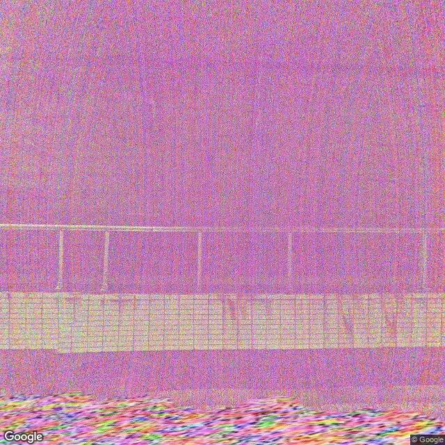 出沒照片 1