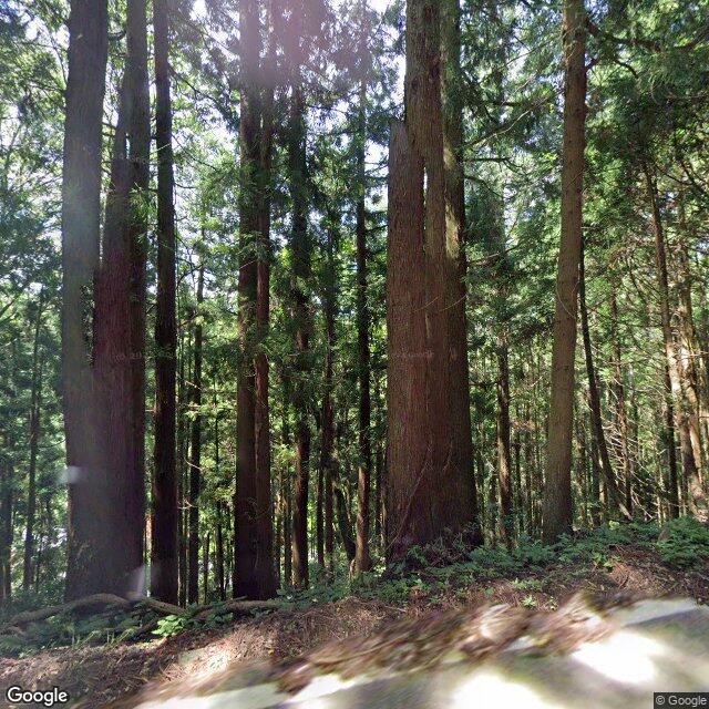 奥出雲町横田の国道３１４号, 島根県