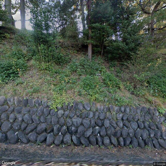 出没写真 1