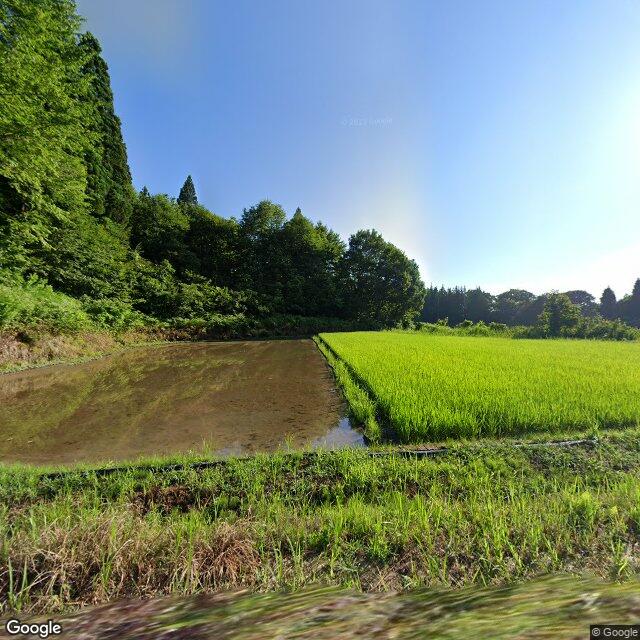 Tsunan Kamigo-Ueda, Niigata