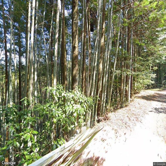 Shizuoka 高山, Shizuoka