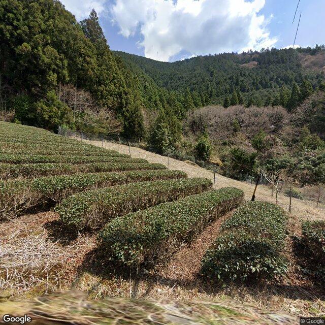 Shizuoka 有東木, Shizuoka