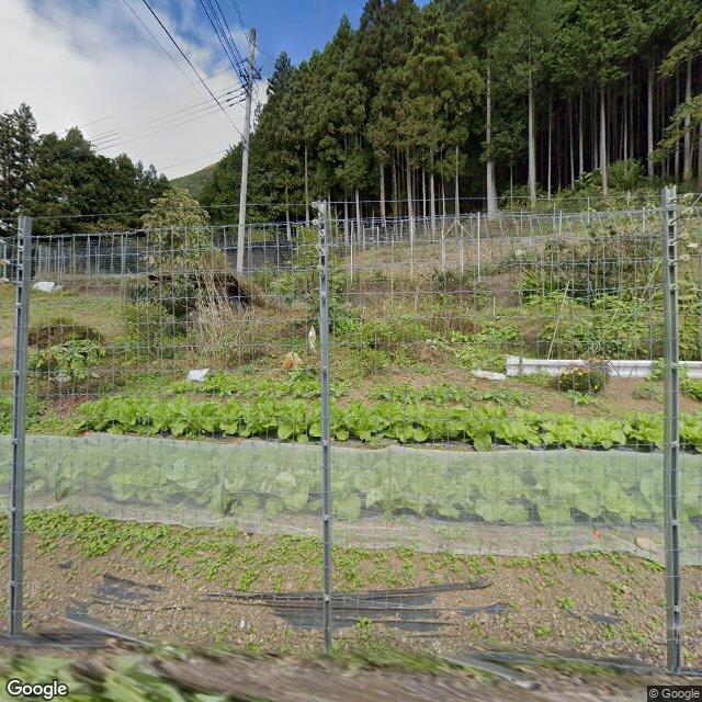 Tabayama Kamigumi, Yamanashi
