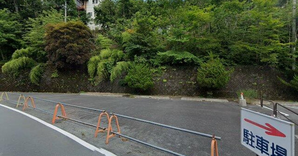 Black Bear in Chichibu Mitsumine, Saitama (Jul 1, 2026) #419C