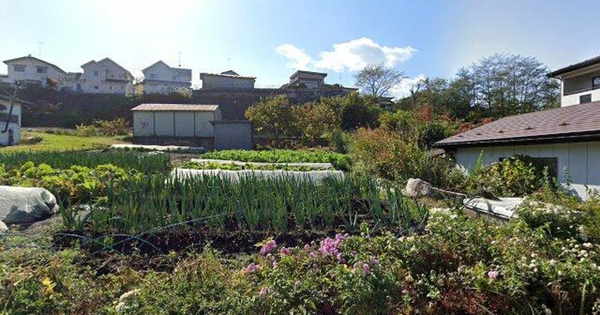 ツキノワグマ出没 青森県八戸市根城大久保 (2026年5月3日) #5E32