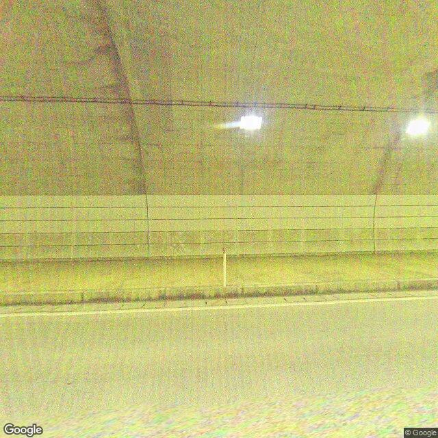 出没照片 1