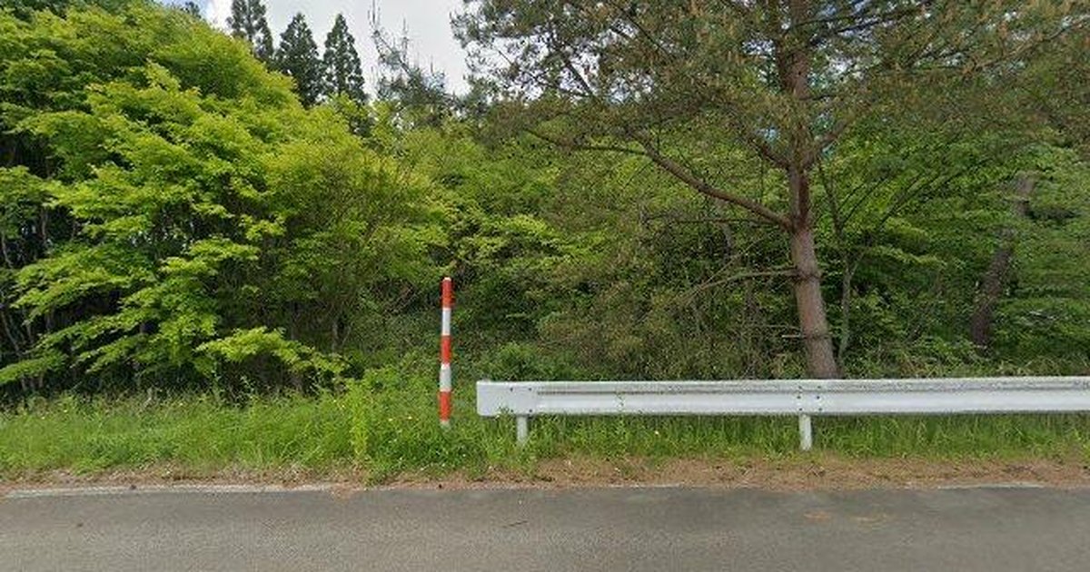 Black Bear in Mitane Moritake, Akita (Jul 13, 2026) #64B0 - Kumamap