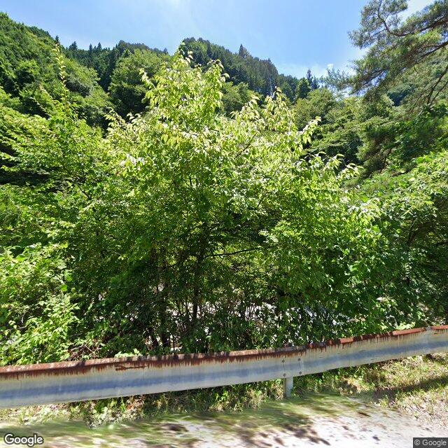 Nakatsugawa, Gifu
