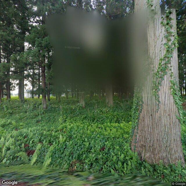 ภาพถ่ายการปรากฏตัว 1