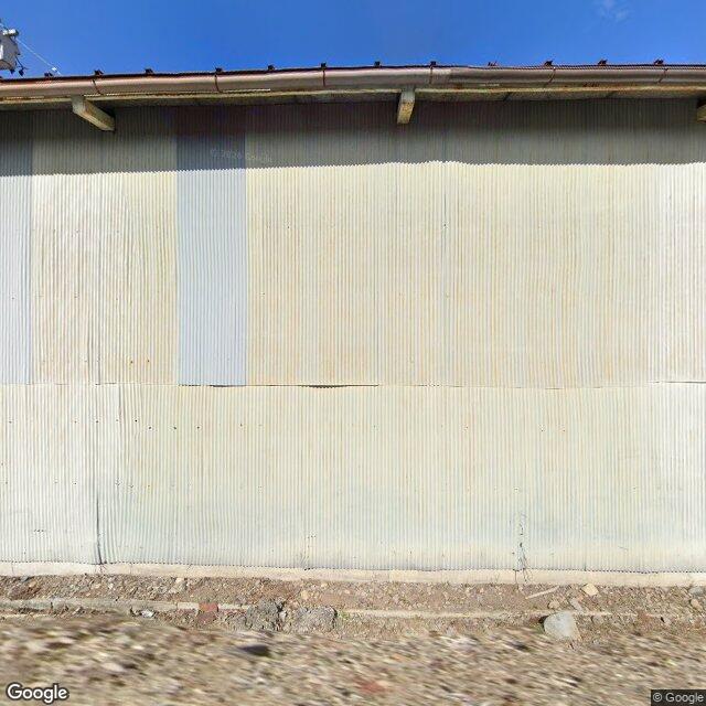 出没写真 1