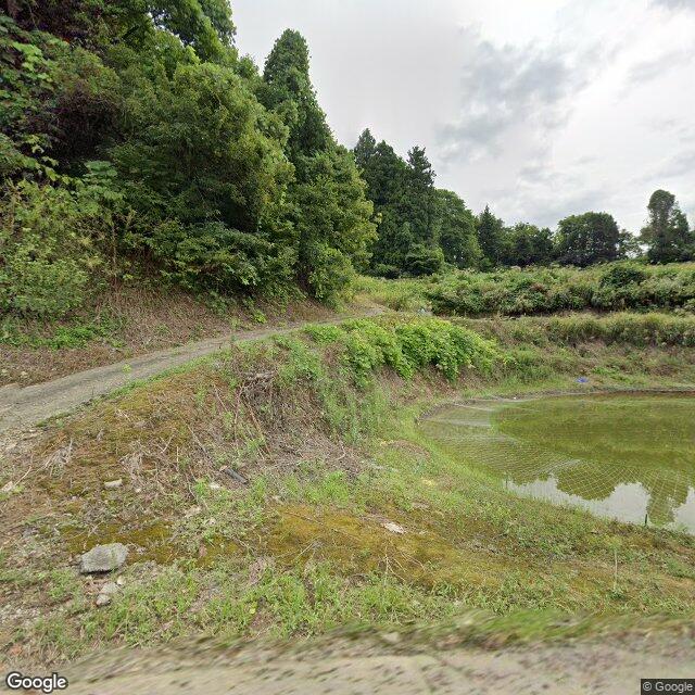 新潟県山古志虫亀