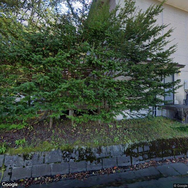 Black Bear in Naganohara, Gunma (Jul 15, 2026) #F069 - Kumamap